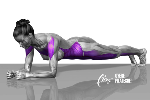 PLANK 